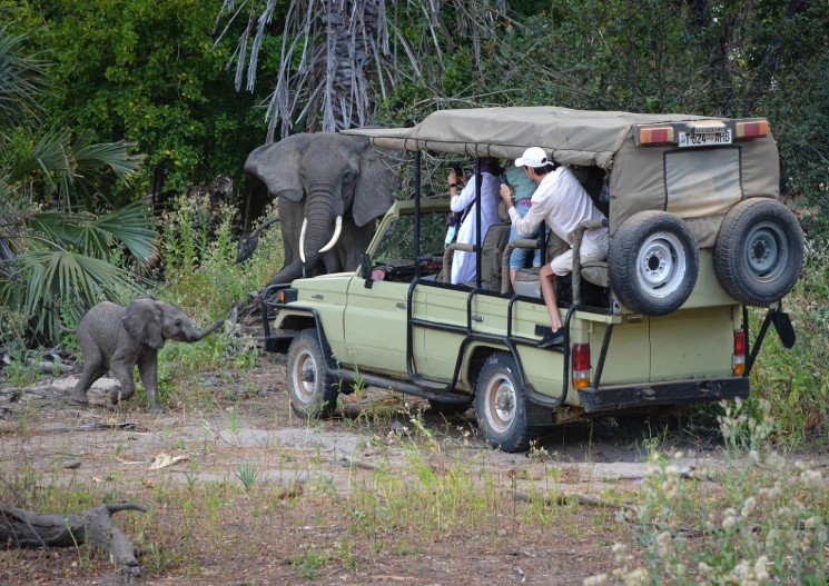 Zanzibár és vad Afrika körutazás