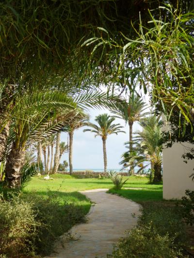 Zita Beach Djerba