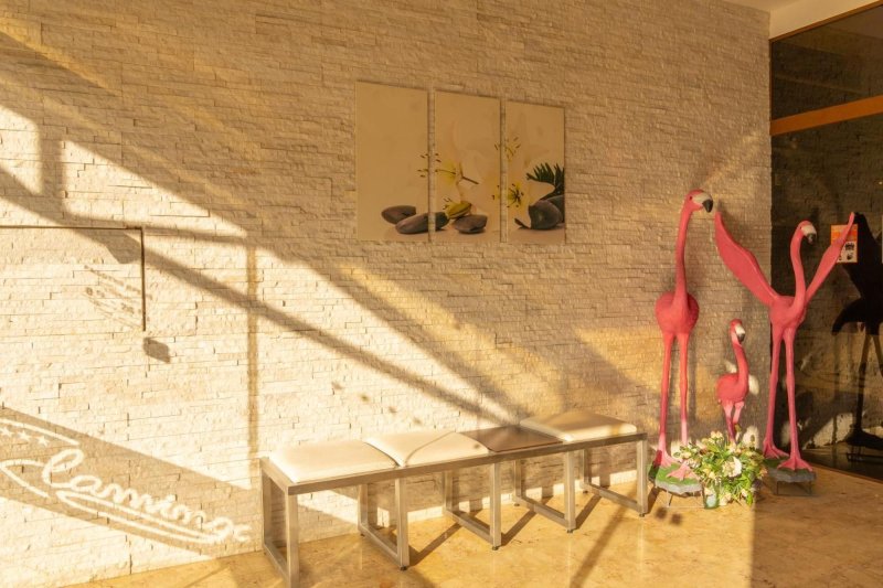 Napospart utazás Flamingo Hotel