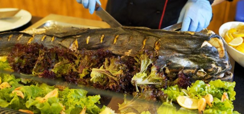 Aranyhomok utazás Hotel Kristal