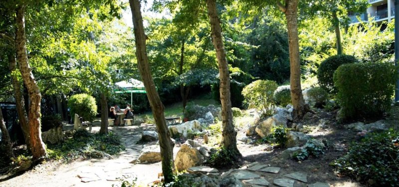 Aranyhomok utazás Hotel Kristal