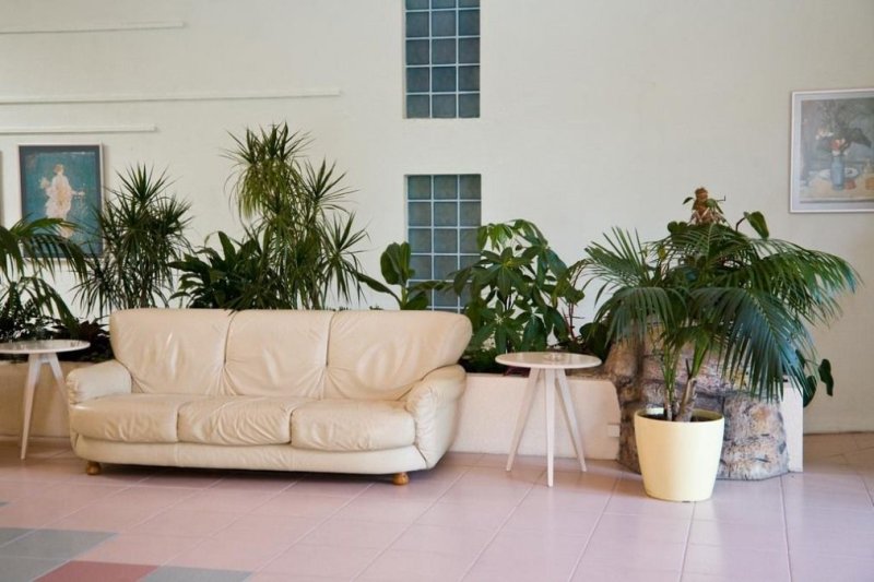 Hotel Trakia Napospart