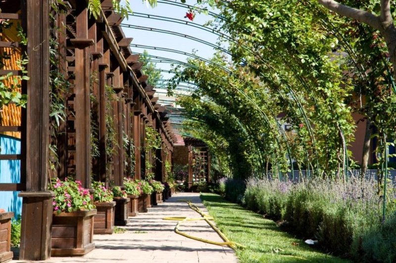 Napospart utazás Hotel Trakia