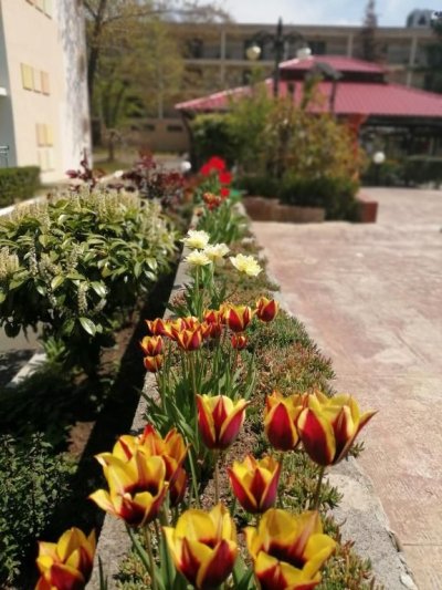 Napospart utazás Trakia Garden