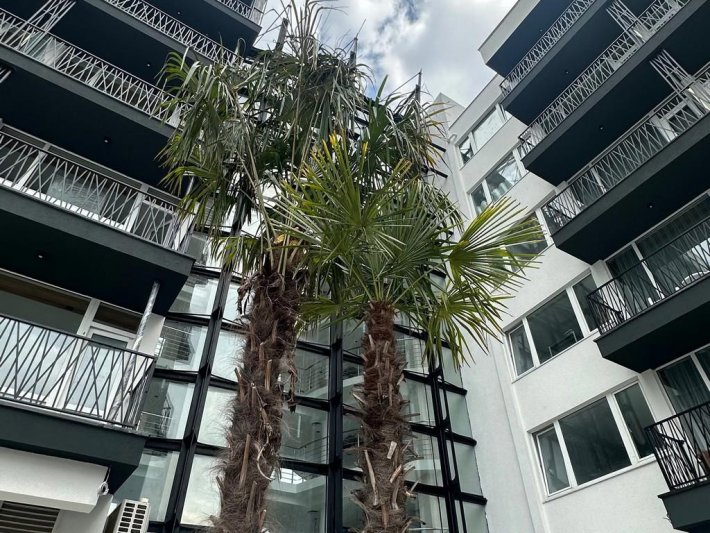 Napospart utazás Bavaro Hotel