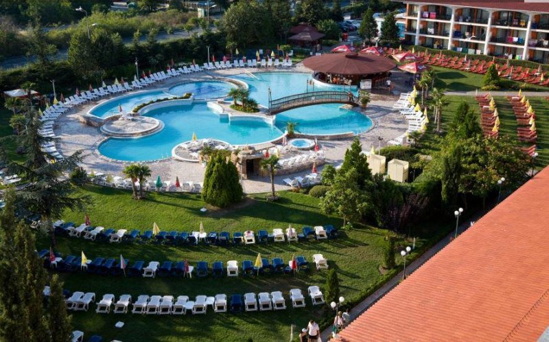 Napospart utazás Hrizantema