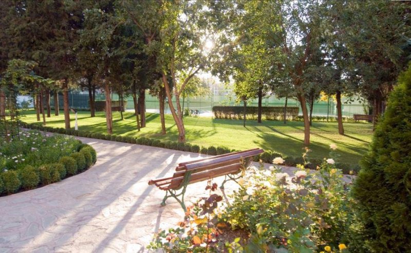 Napospart utazás Hrizantema