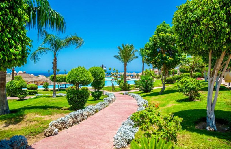 Makadi Bay utazás Serenity Alpha Beach ex.: Serenity Makadi Beach