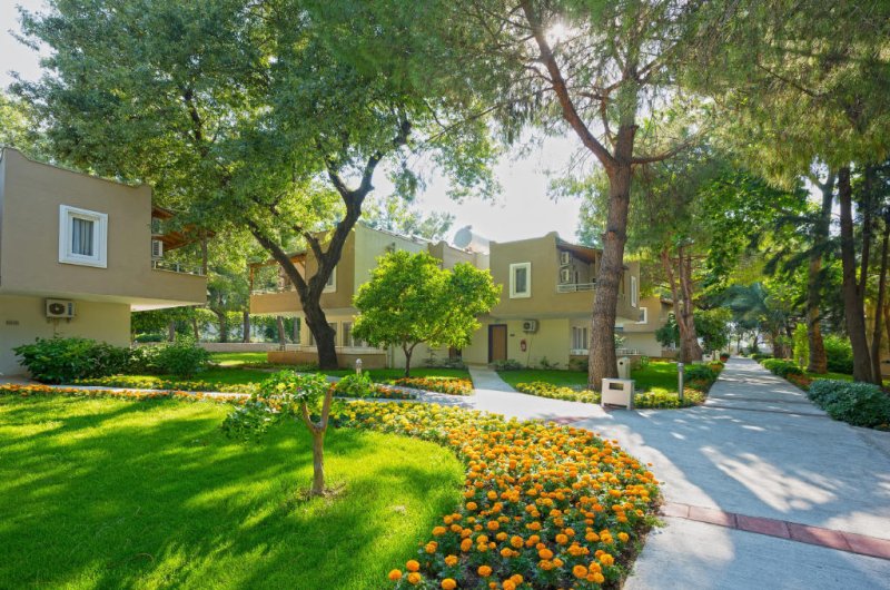 Side utazás Club Hotel Sidelya