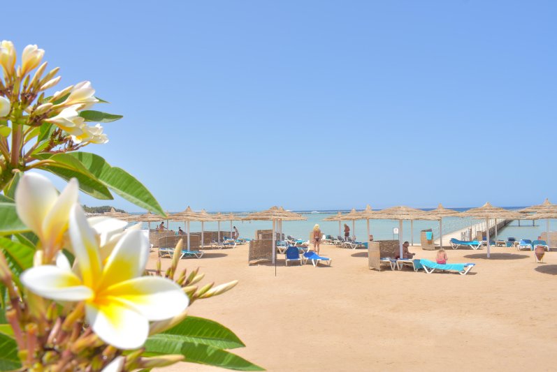 Hurghada utazás Jasmine Palace Resort