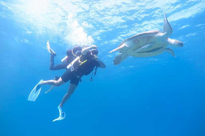 Hurghada utazás Jasmine Palace Resort