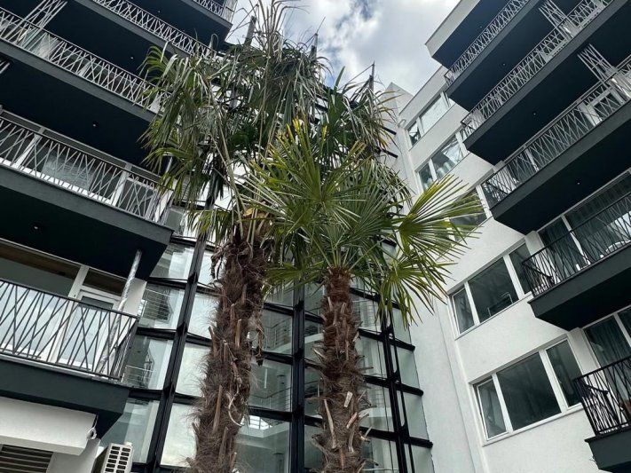 Napospart utazás Bavaro Hotel