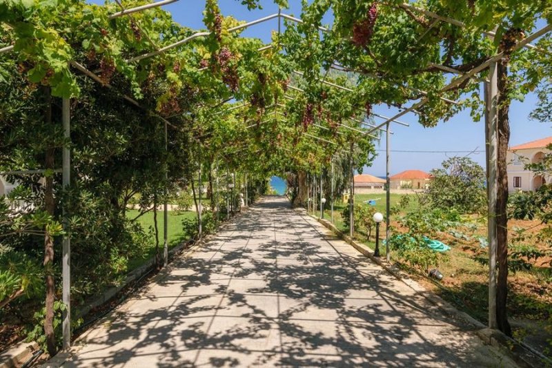 Zakynthos Kypseli utazás Belussi Beach Hotel & Suites