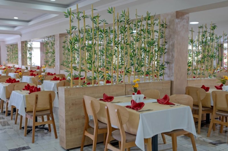Club Hotel Sidelya Side