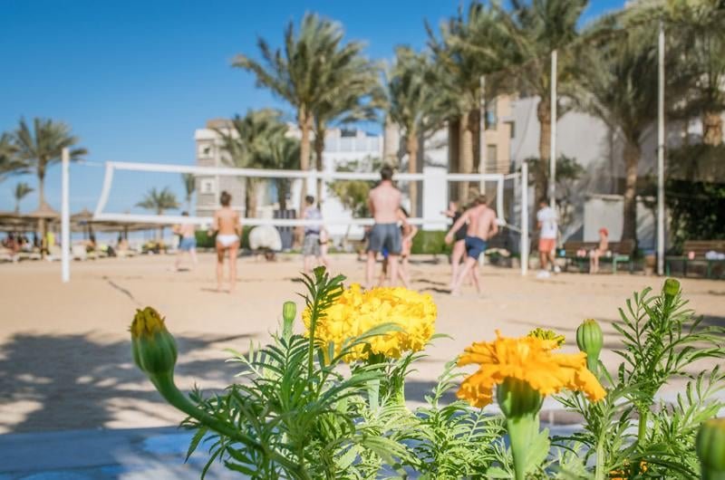 Seagull Beach Resort Hurghada