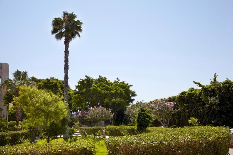 Sunshine Rhodes Hotel Rodosz