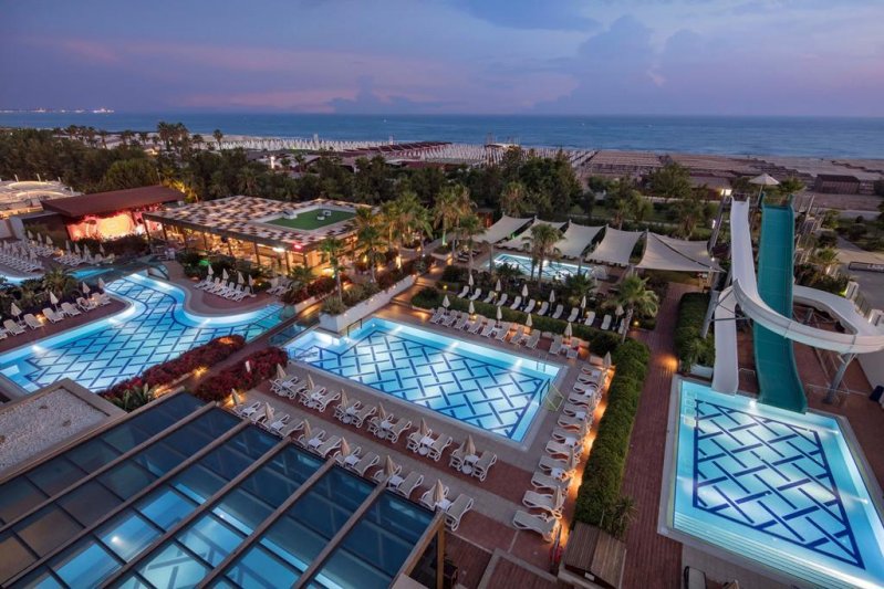Trendy Verbena Beach Side