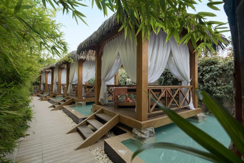 Trendy Verbena Beach Side