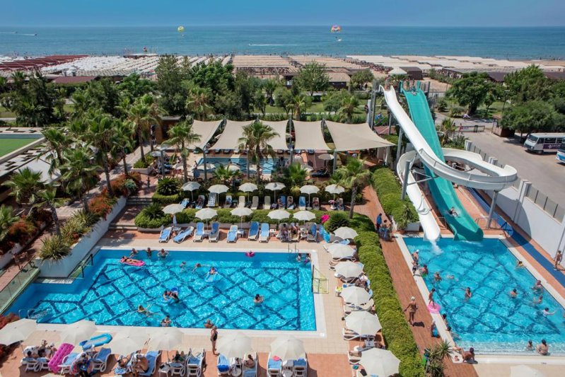Trendy Verbena Beach Side