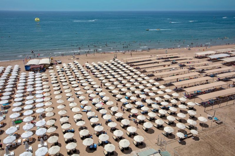 Trendy Verbena Beach Side