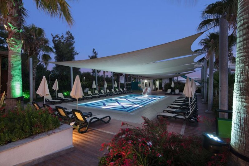 Trendy Verbena Beach Side