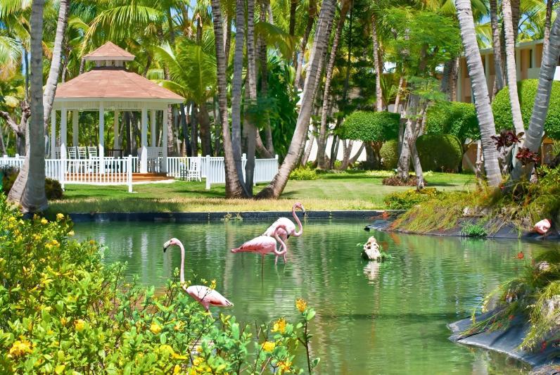 Catalonia Bavaro Beach & Golf Resort Dominika