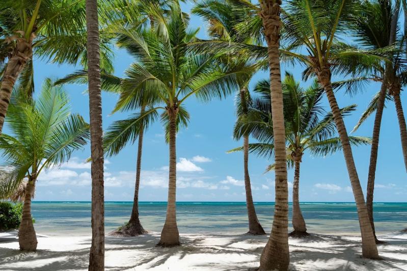 Catalonia Royal Bavaro Dominika