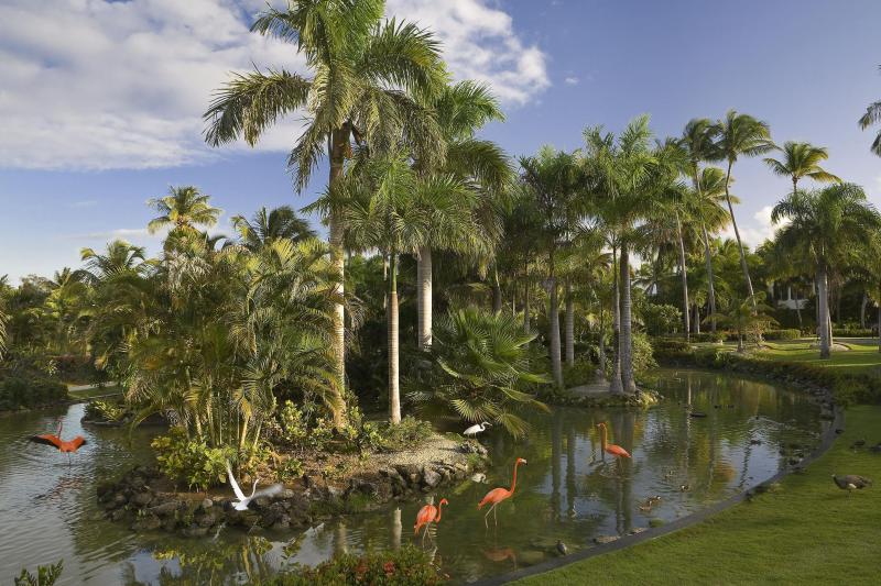 Meliá Caribe Beach Resort Dominika