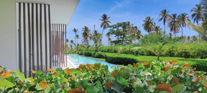 Serenade Punta Cana Beach & Spa Resort Dominika