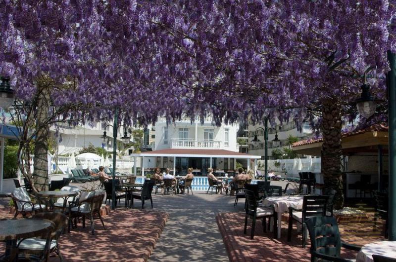 Alanya utazás Azak Hotel