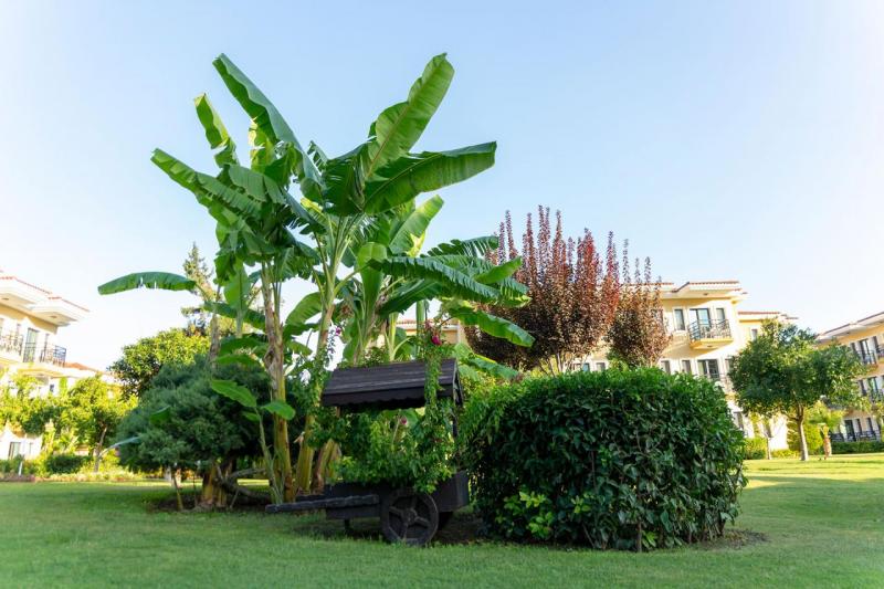 Kemer utazás Club Hotel Phaselis Rose