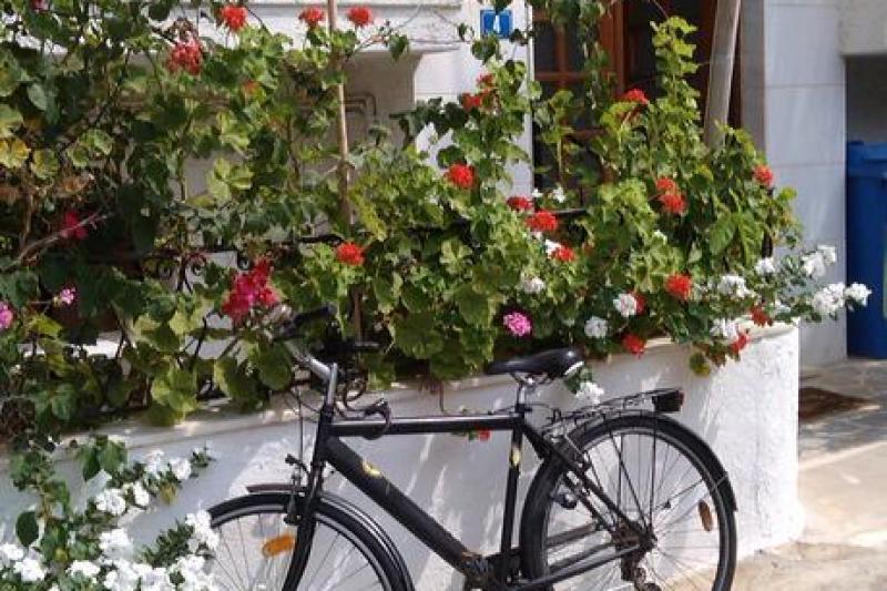 Kréta Malia utazás Irene Apartments Malia