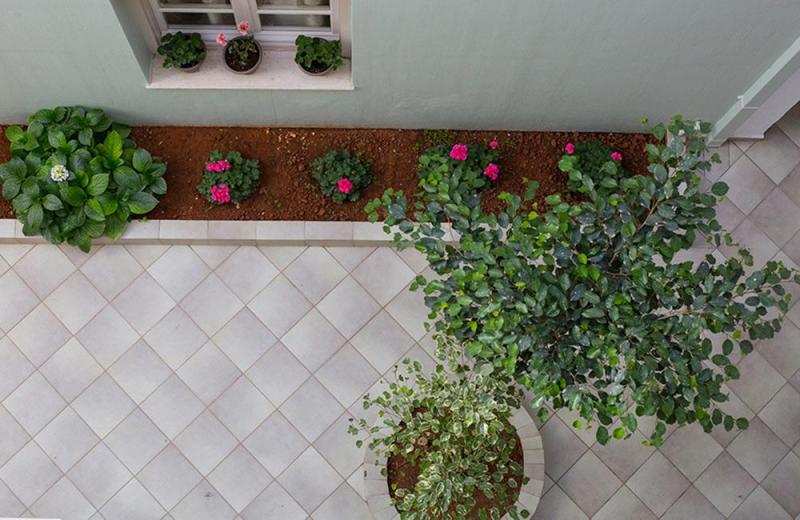 Kréta Malia utazás Malia Central Apartments