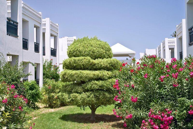 Mahdia utazás El Borj Hotel