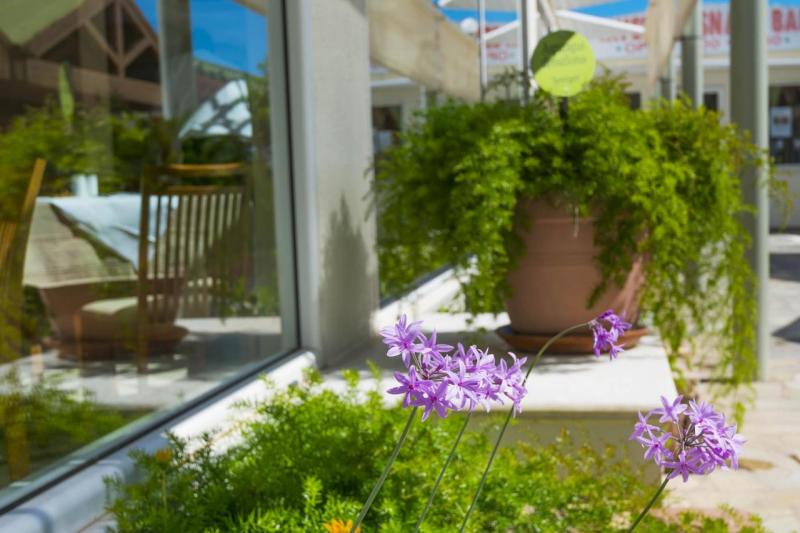 Rodosz Faliraki utazás Apollo Beach