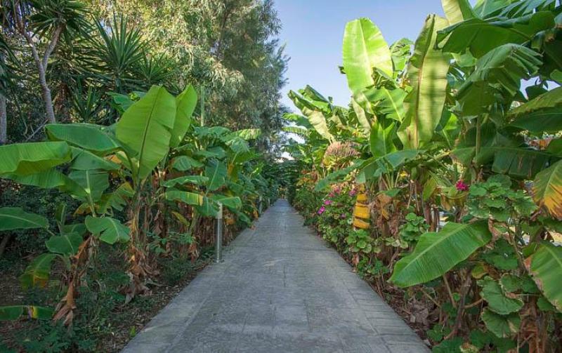 Rodosz Kolymbia utazás Irene Palace