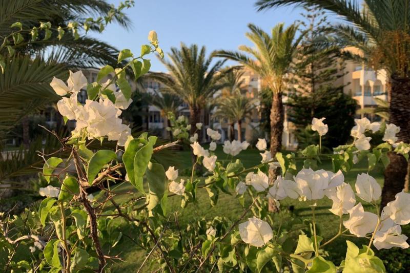 Hammamet utazás Hasdrubal Thalassa & Spa