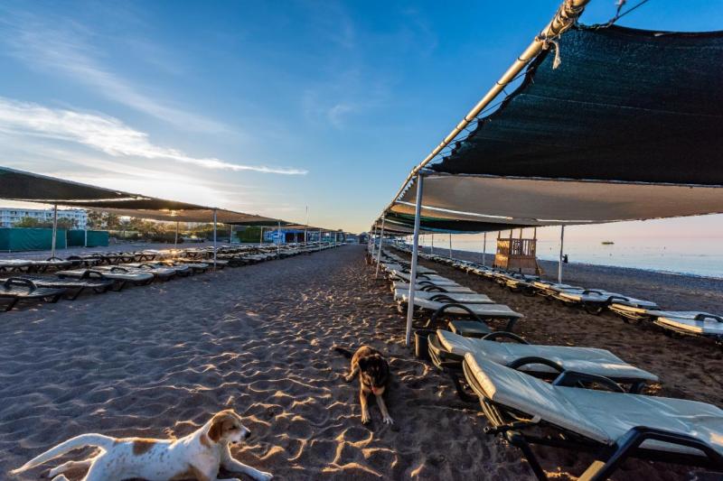 Side utazás Aska Grand Prestige