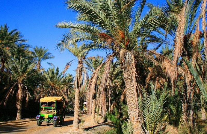 Fedezd fel Tunézia varázslatos világát december