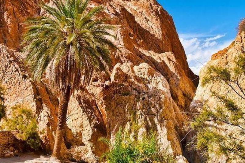 Tunéziai körút utazás Fedezd fel Tunézia varázslatos világát