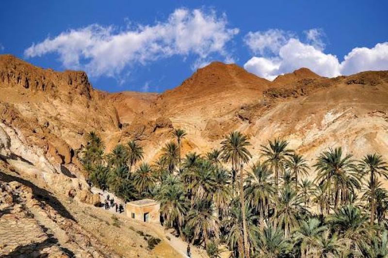 Tunéziai körút utazás Fedezd fel Tunézia varázslatos világát