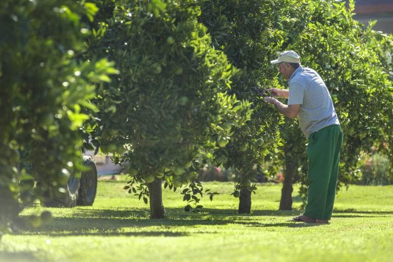 Alanya utazás Lonicera World Resort Spa