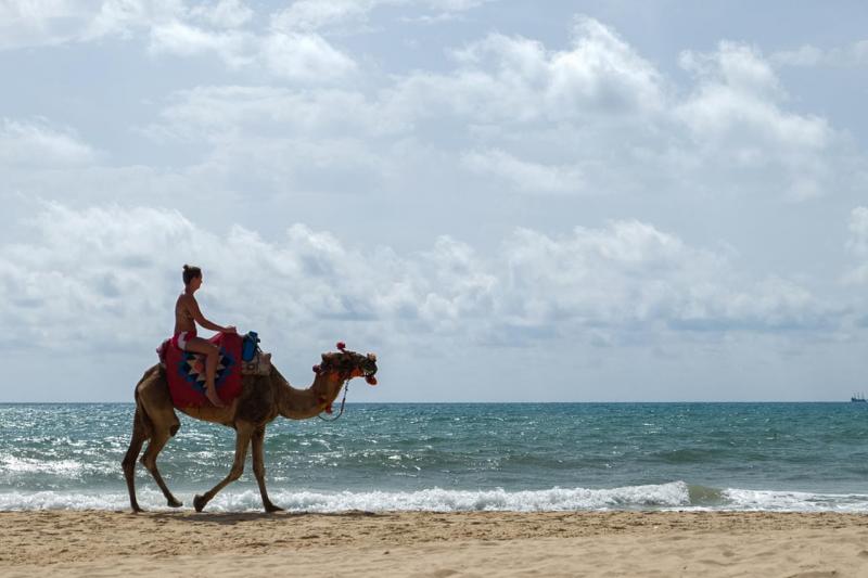 Hammamet utazás Les Orangers Beach Resort & Bungalows