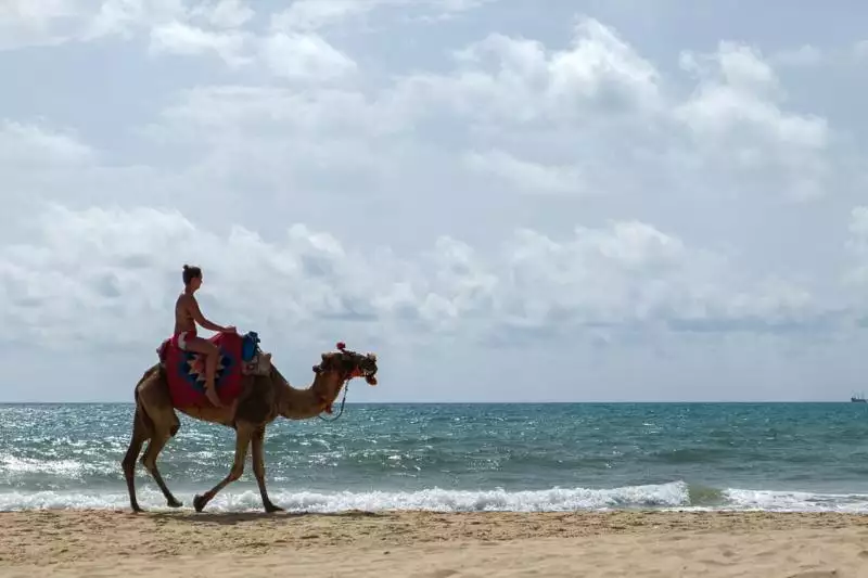 Les Orangers Beach Resort & Bungalows Hammamet