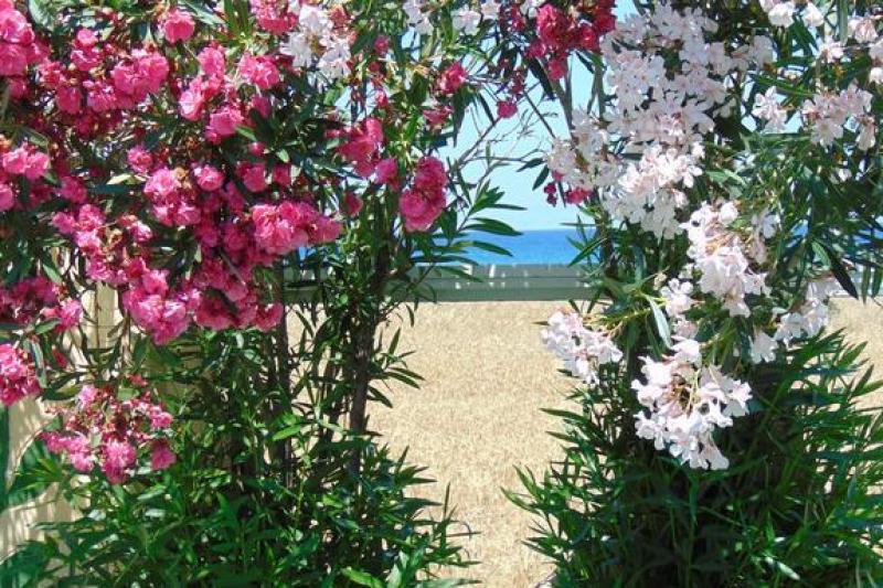 Rodosz Tholos utazás Nirvana Beach