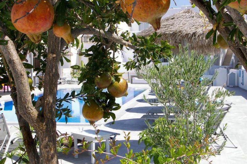 Szantorini Kamari utazás Oxygen Sea Side Hotel