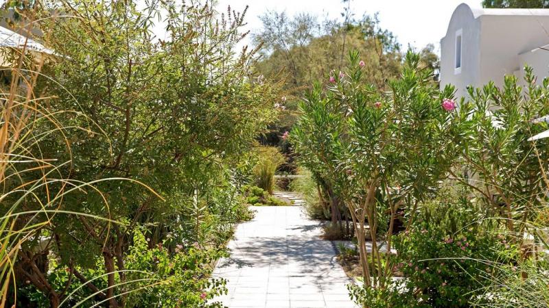 Szantorini Kamari utazás Rosebay Hotel