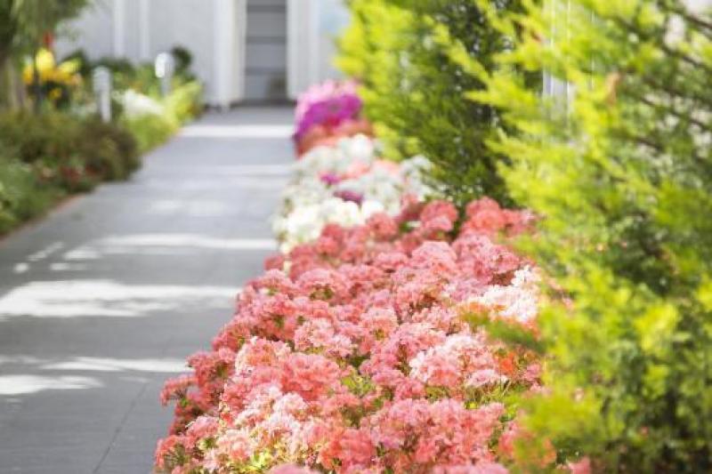 Side utazás Sun Club Side