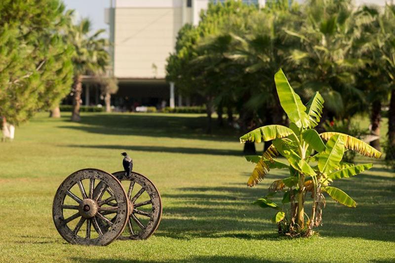 Side utazás Sural Resort