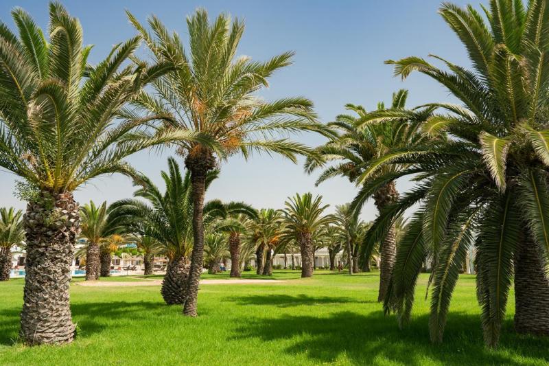 Hammamet utazás The Mirage Resort & Spa